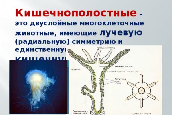 Где найти рабочую ссылку на кракен