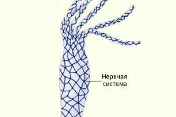 Kraken зеркало тор ссылка