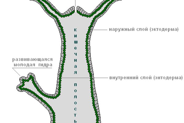 Не получается зайти на кракен